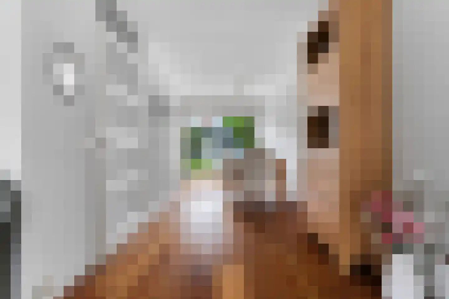 Goudreinet 3 Huissen thumbnail 8