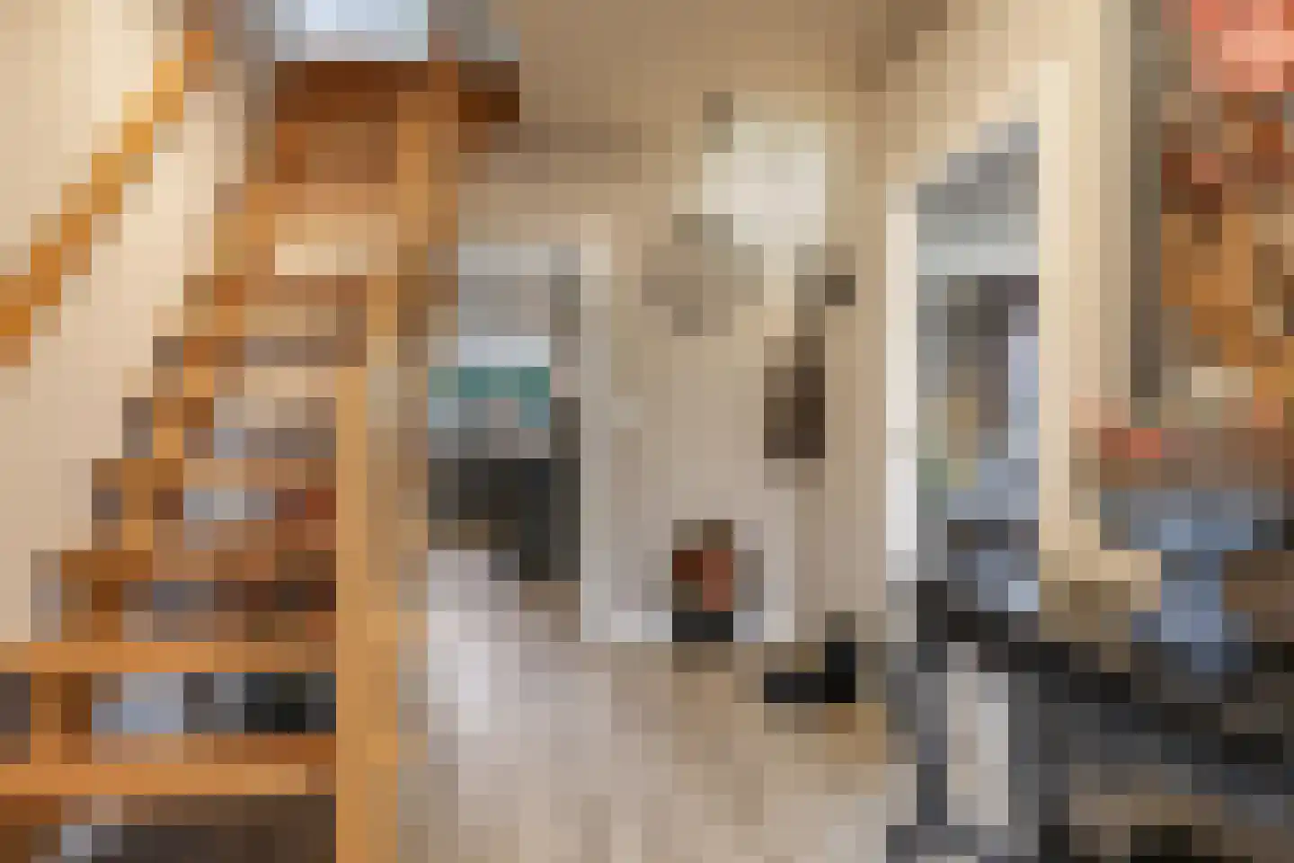Goudreinet 34 Dodewaard thumbnail 10