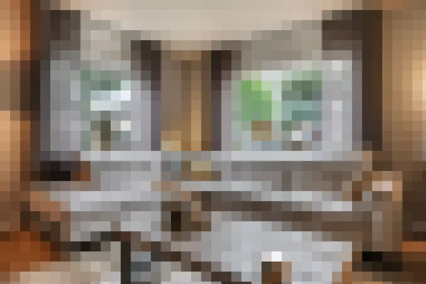 Goudreinet 34 Dodewaard thumbnail 15