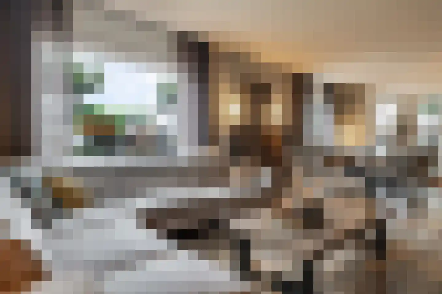 Goudreinet 34 Dodewaard thumbnail 16