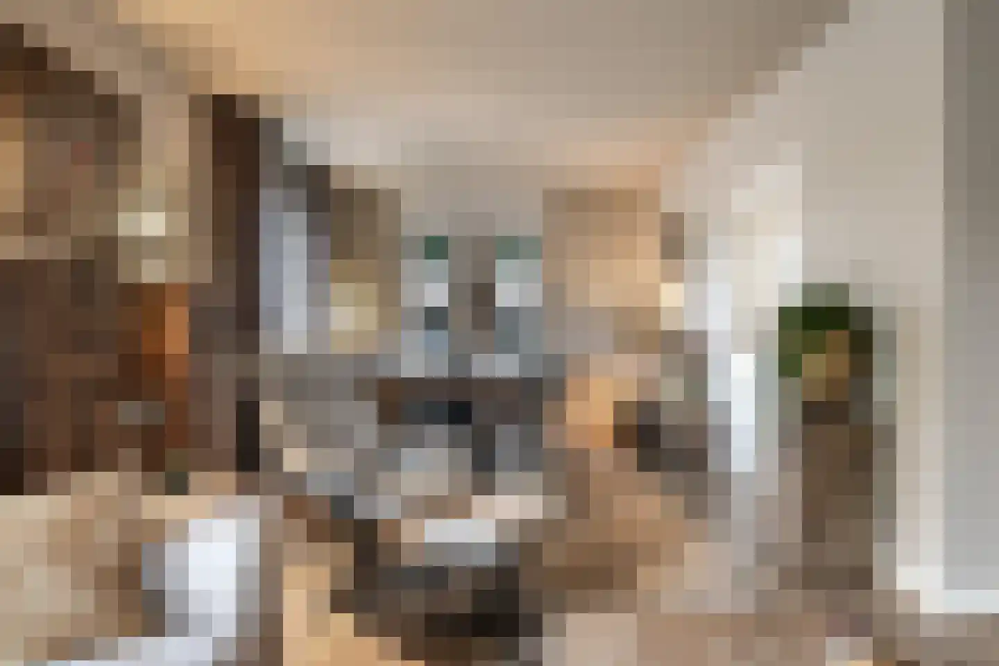 Goudreinet 34 Dodewaard thumbnail 17