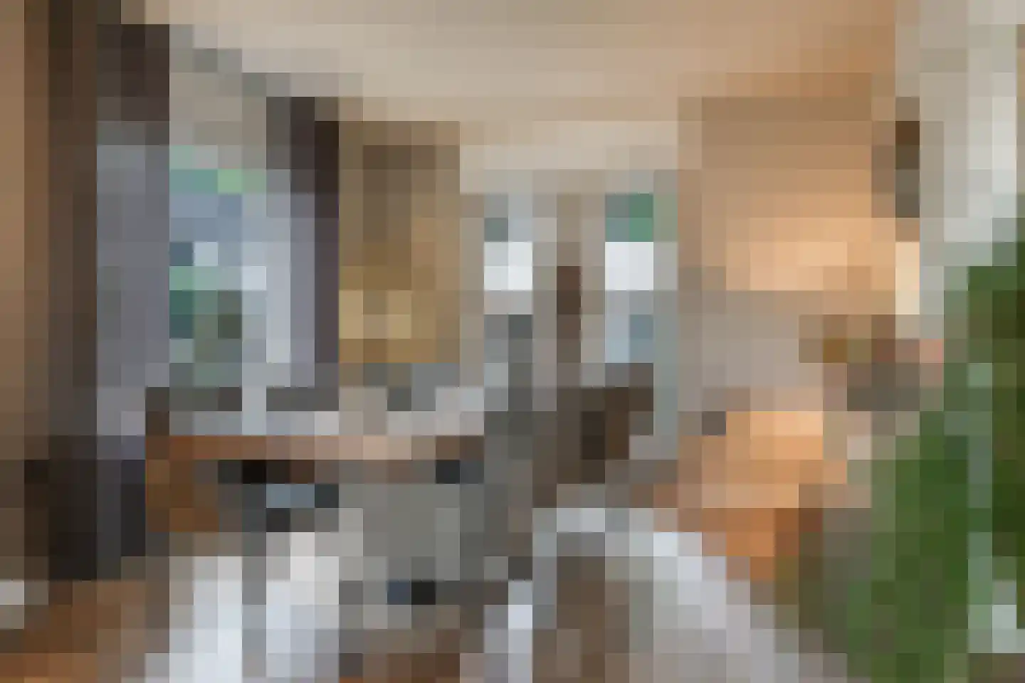 Goudreinet 34 Dodewaard thumbnail 19