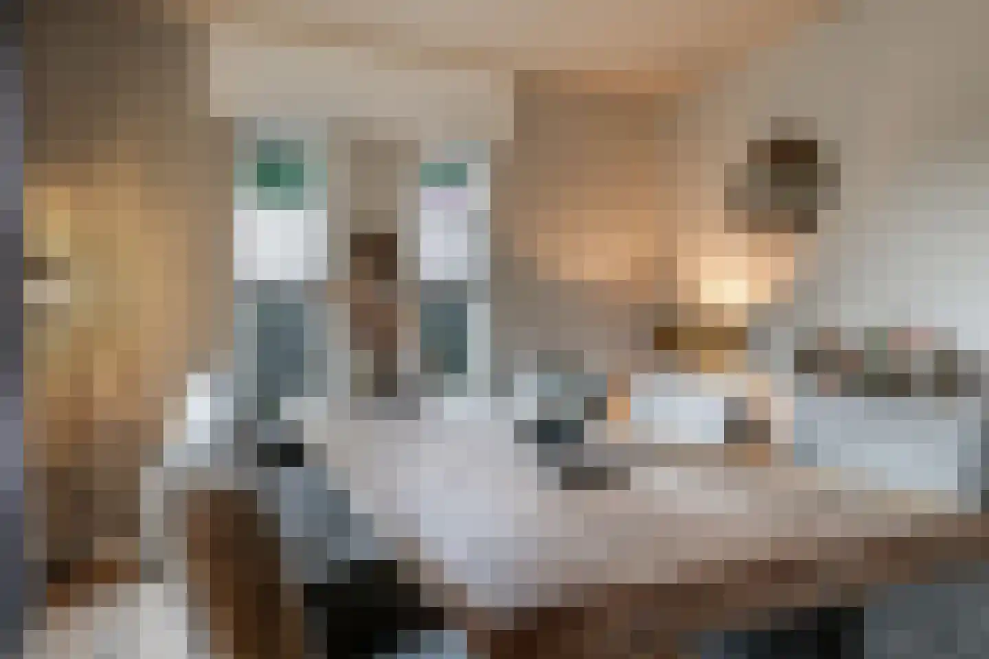 Goudreinet 34 Dodewaard thumbnail 20