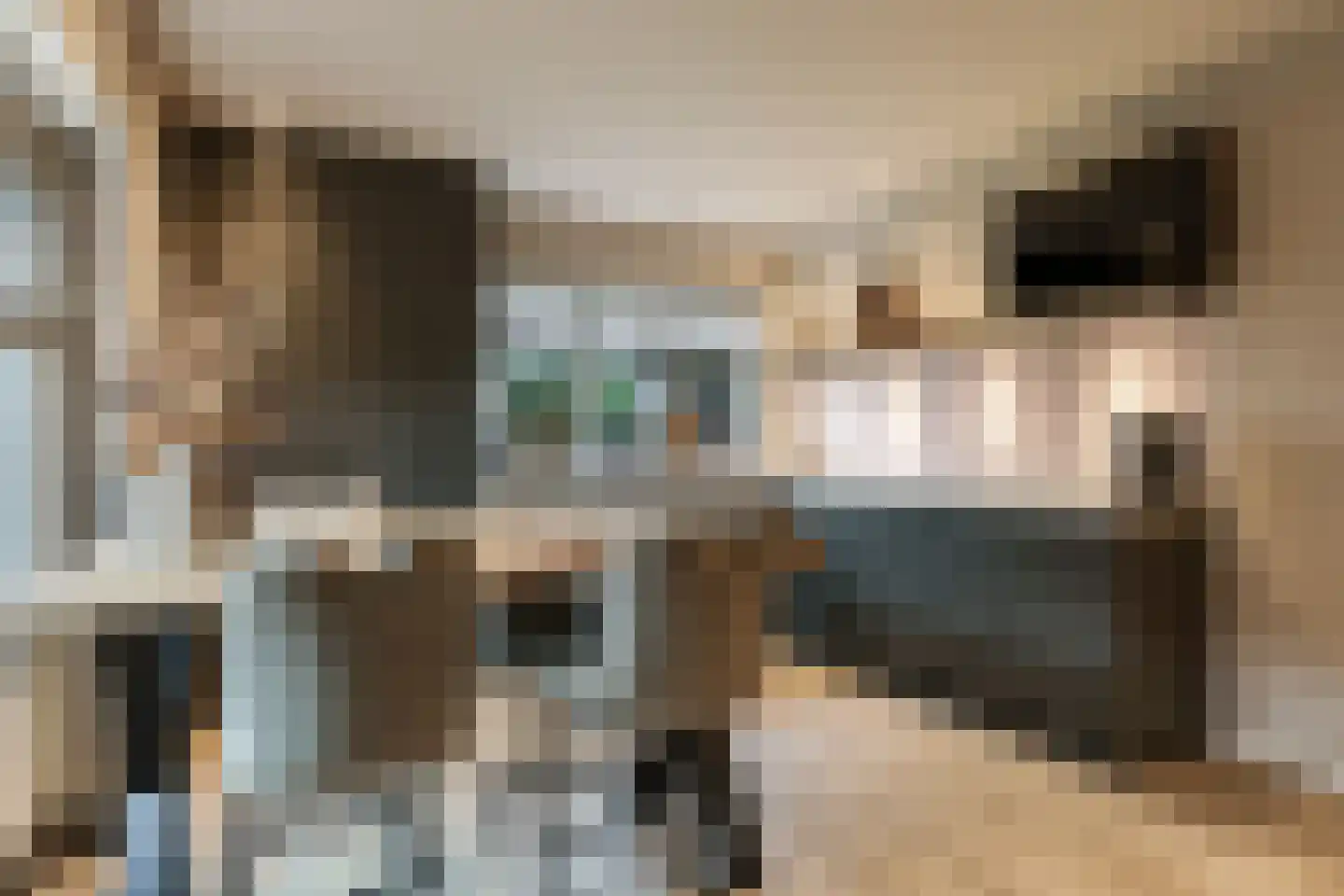 Goudreinet 34 Dodewaard thumbnail 30