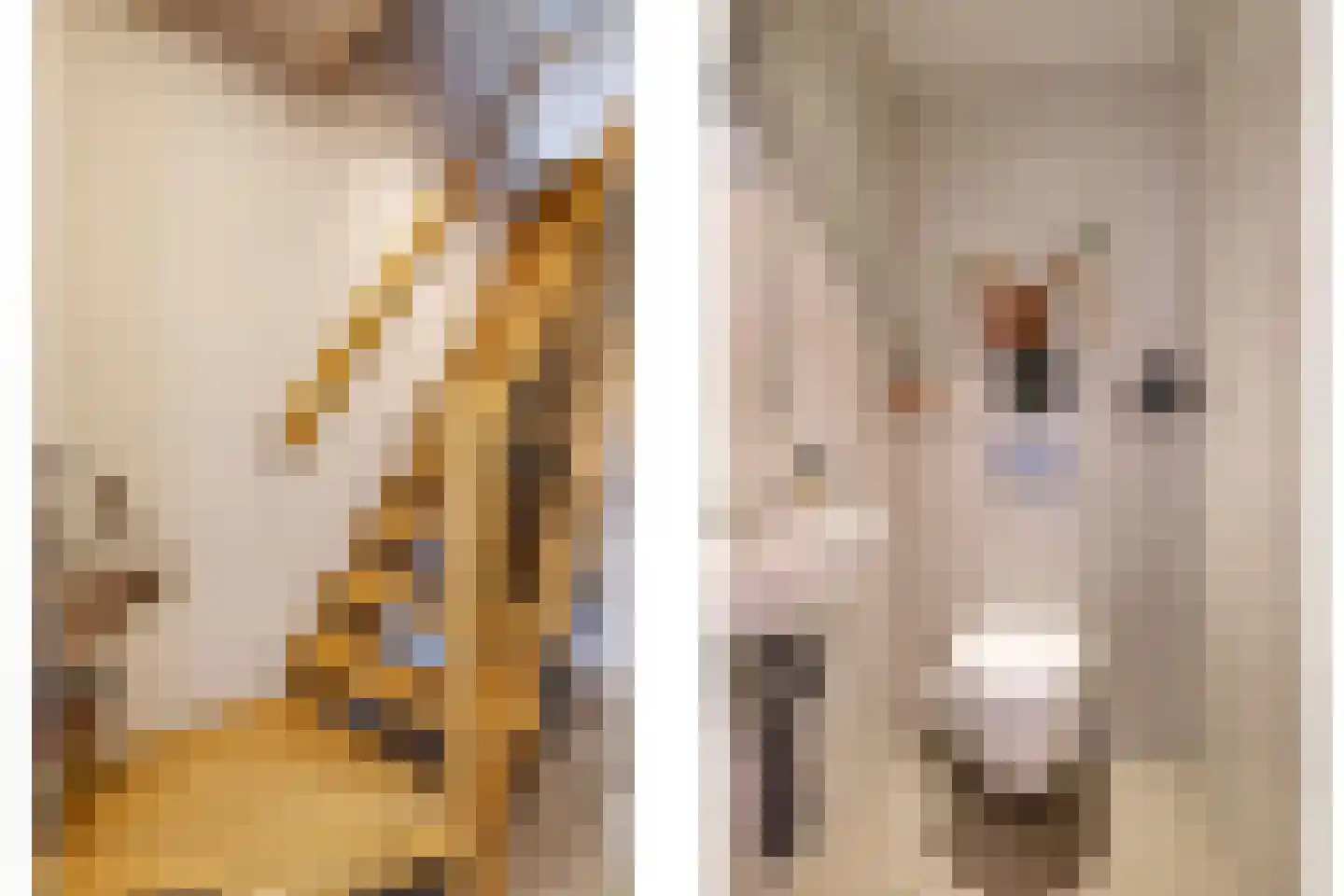 Goudreinet 34 Dodewaard thumbnail 32