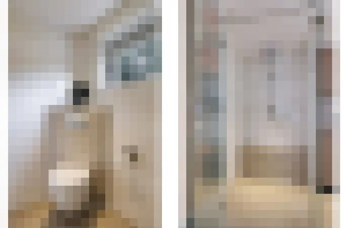 Goudreinet 34 Dodewaard thumbnail 37