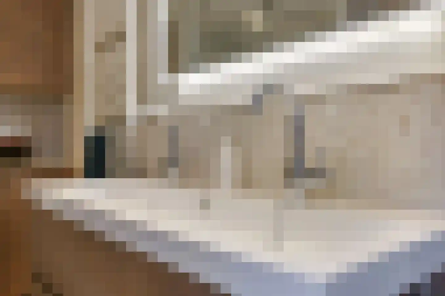 Goudreinet 34 Dodewaard thumbnail 39
