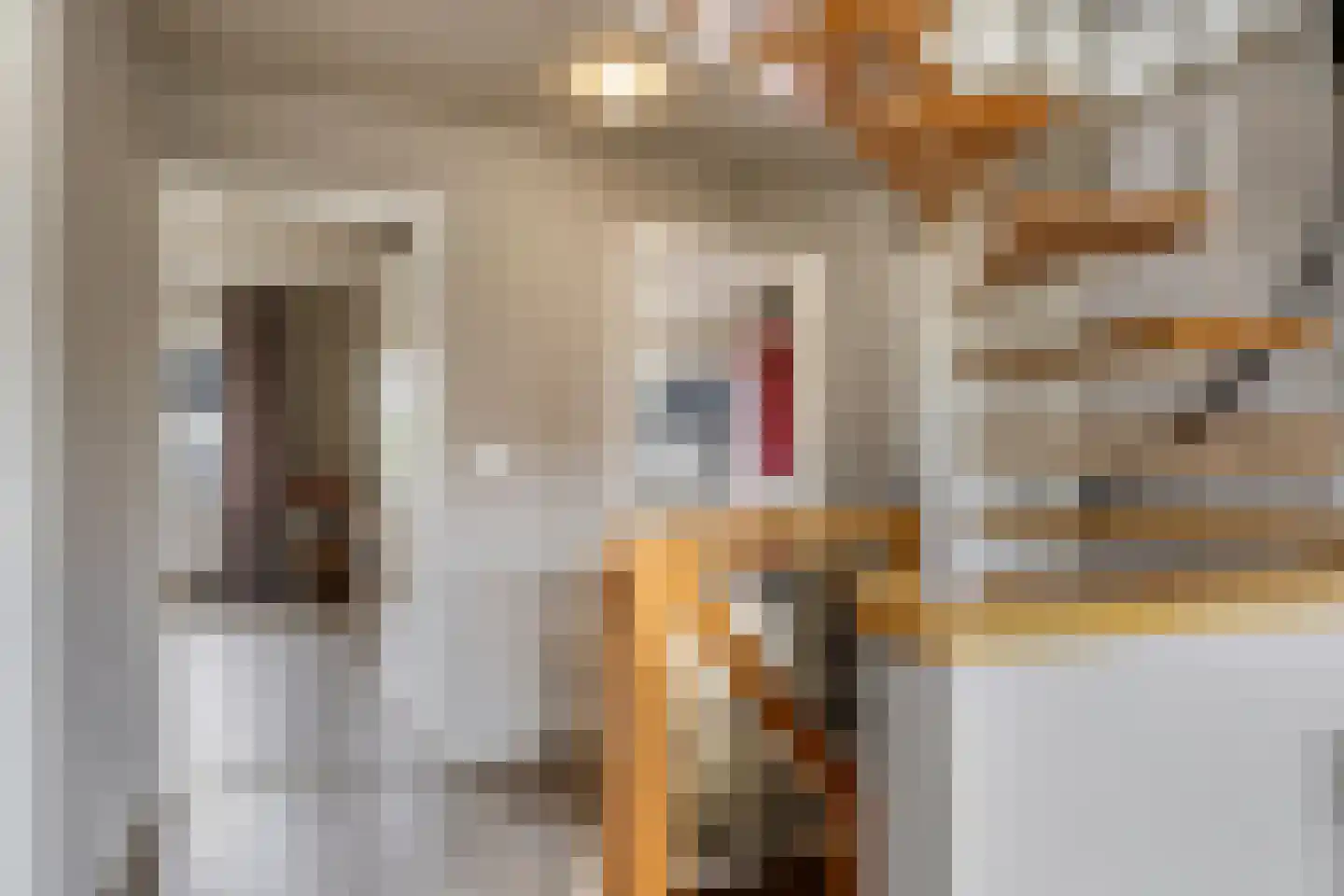 Goudreinet 34 Dodewaard thumbnail 47