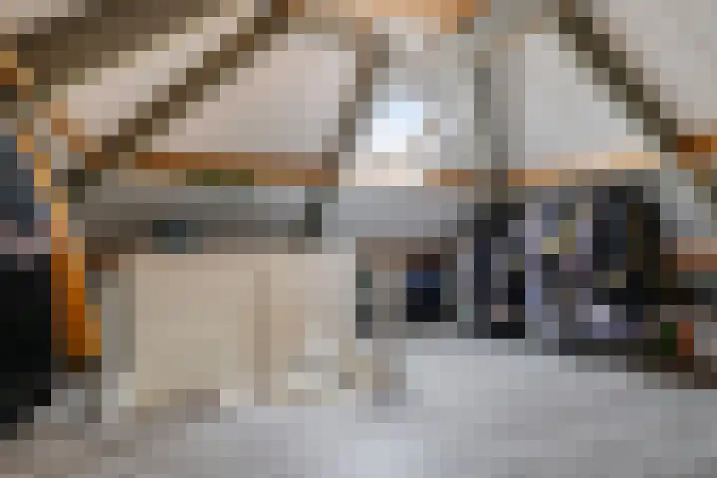 Goudreinet 34 Dodewaard thumbnail 49