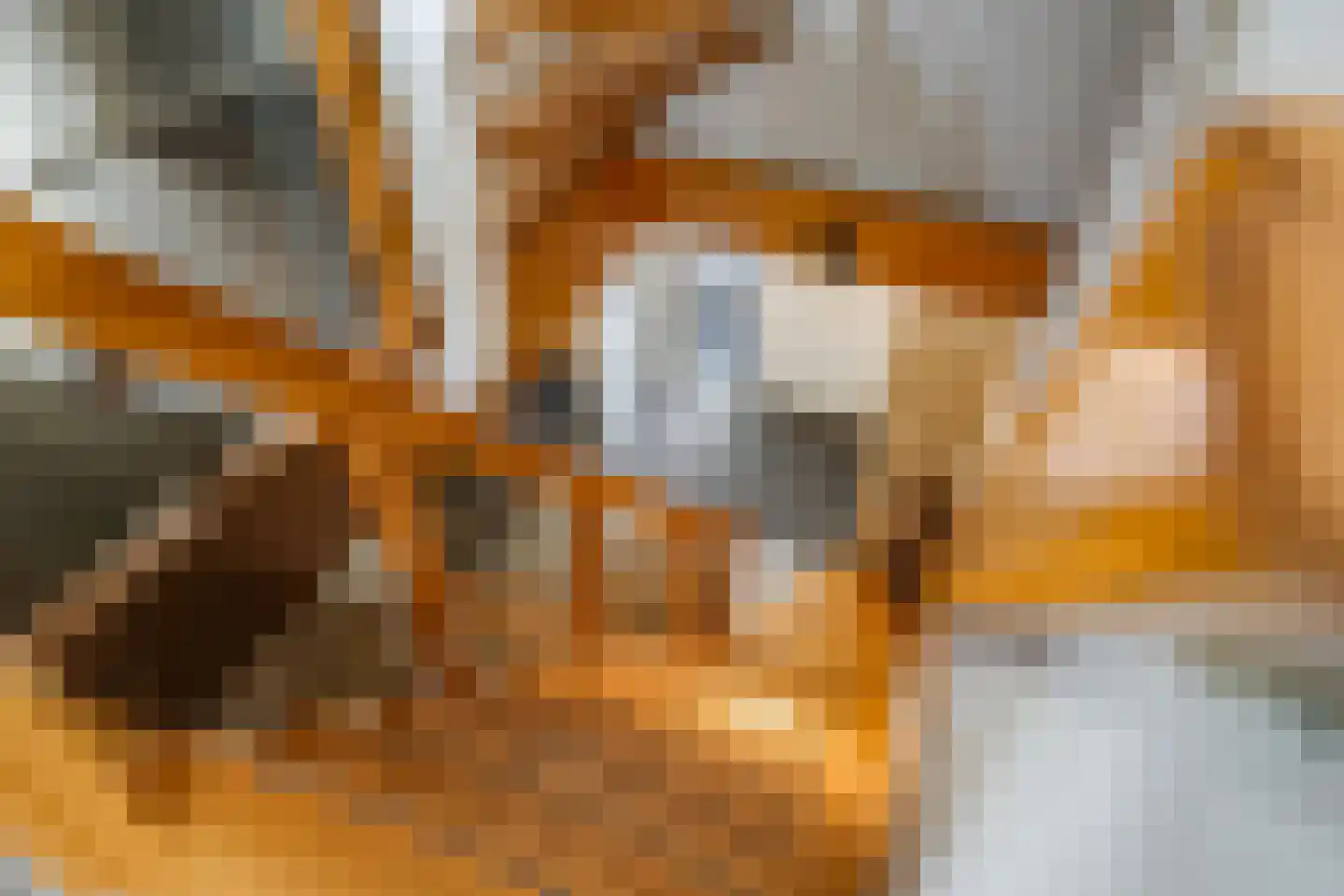 Goudreinet 34 Dodewaard thumbnail 52
