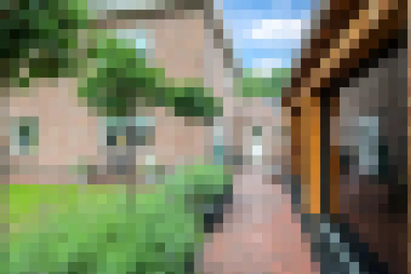 Goudreinet 34 Dodewaard thumbnail 57