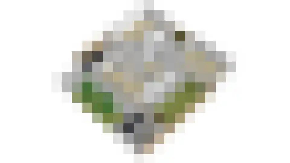 Goudreinet 34 Dodewaard thumbnail 59