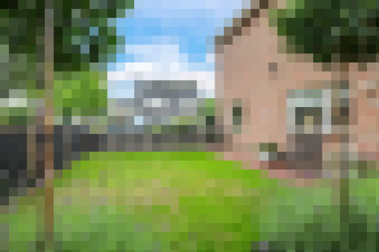Goudreinet 34 Dodewaard thumbnail 73