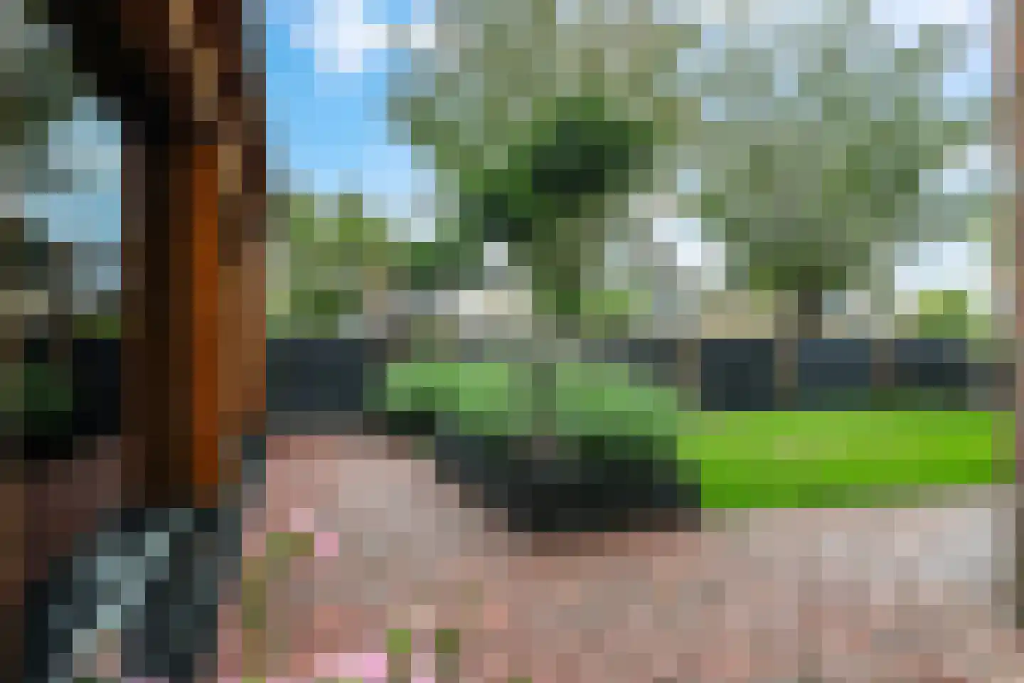 Goudreinet 34 Dodewaard thumbnail 74