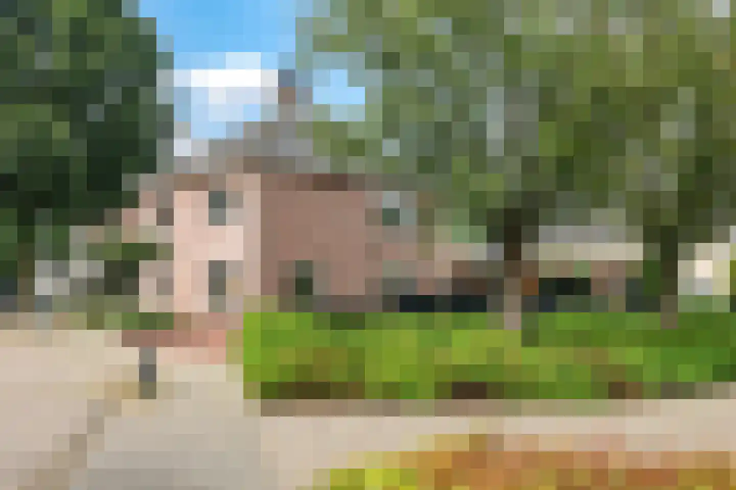 Goudreinet 34 Dodewaard thumbnail 86