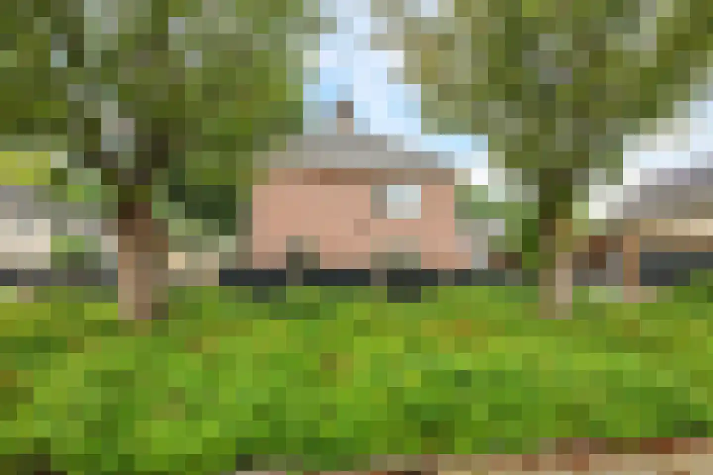 Goudreinet 34 Dodewaard thumbnail 88