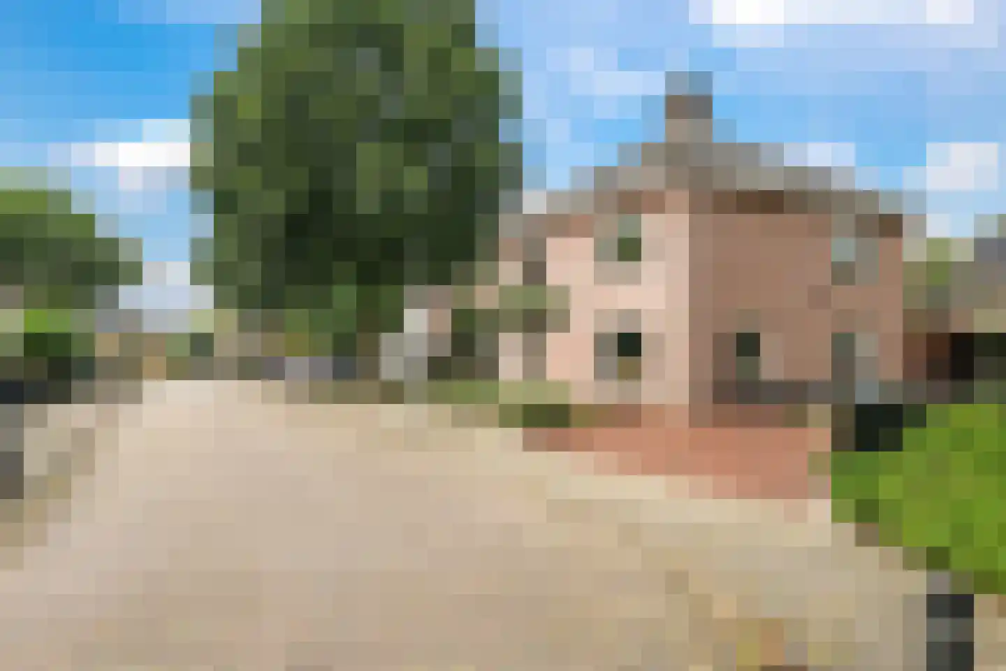 Goudreinet 34 Dodewaard thumbnail 92