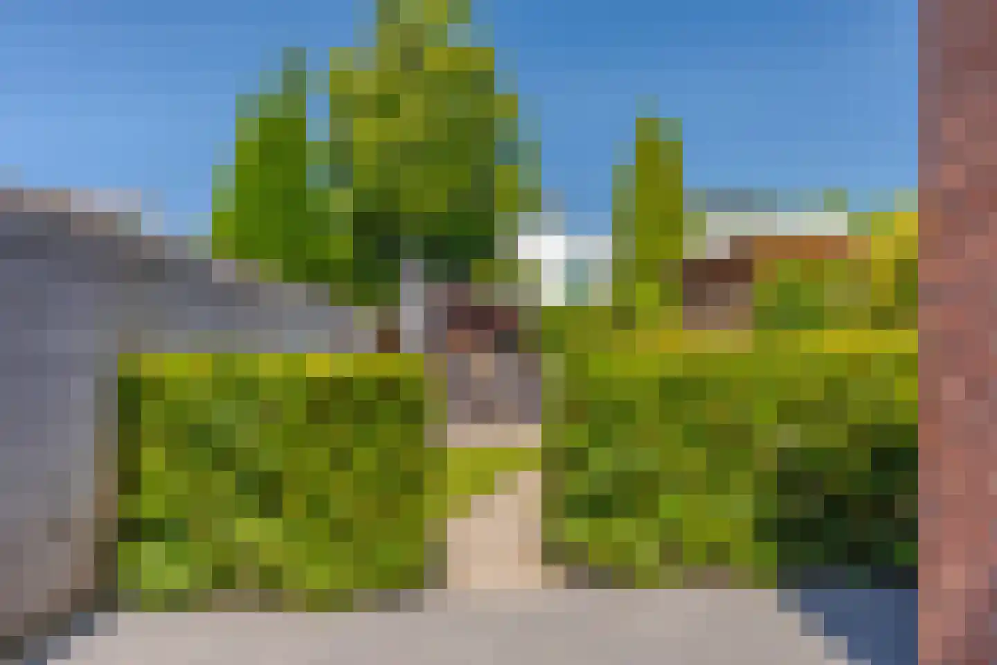 Goudreinet 34 Elst thumbnail 23