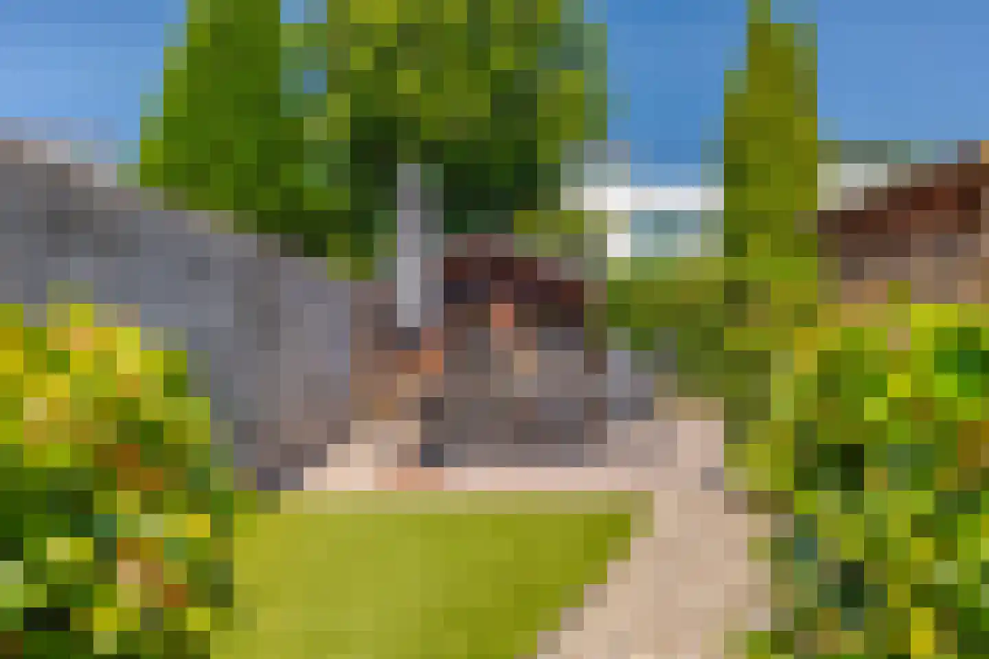 Goudreinet 34 Elst thumbnail 24