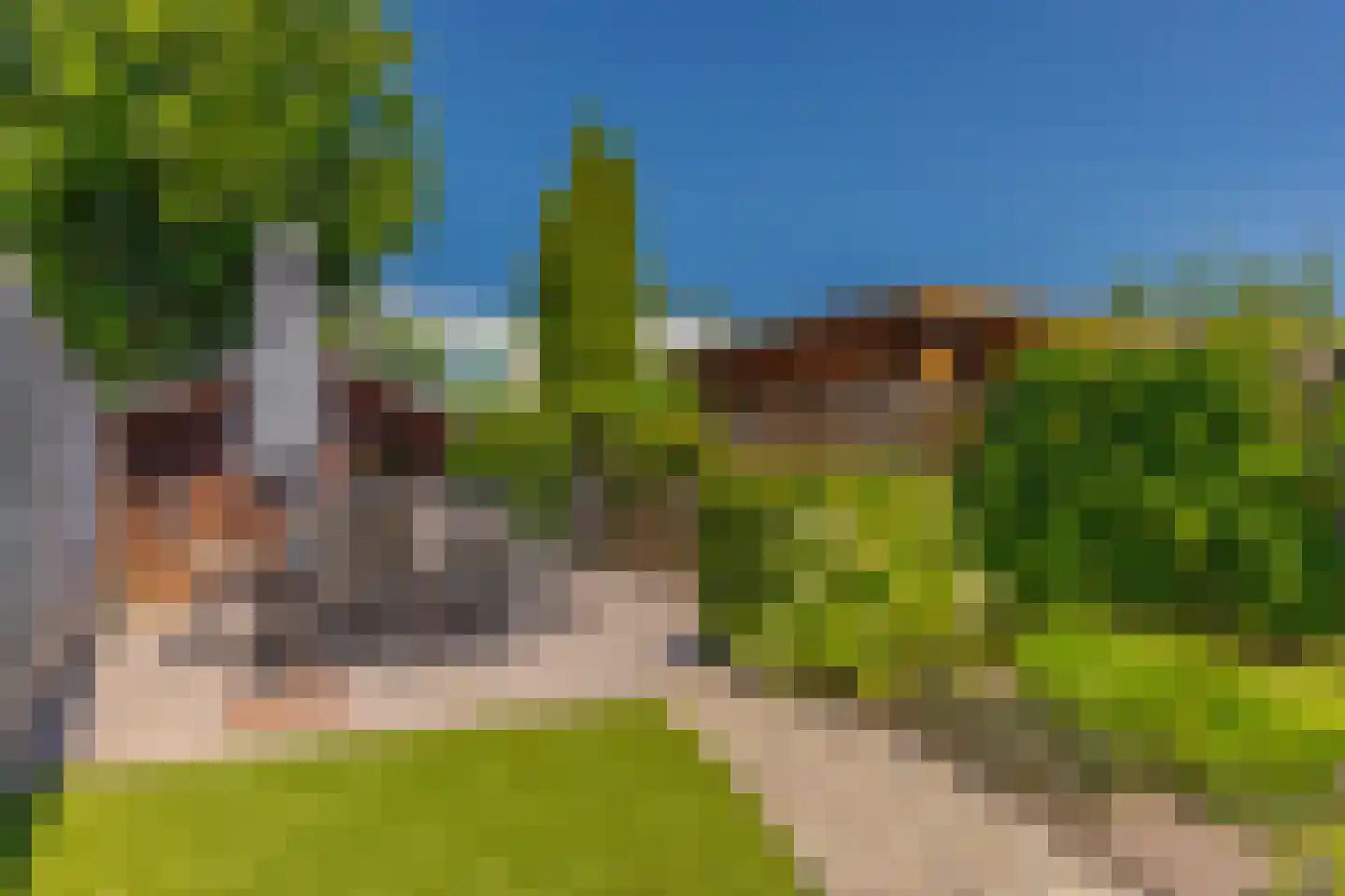 Goudreinet 34 Elst thumbnail 26