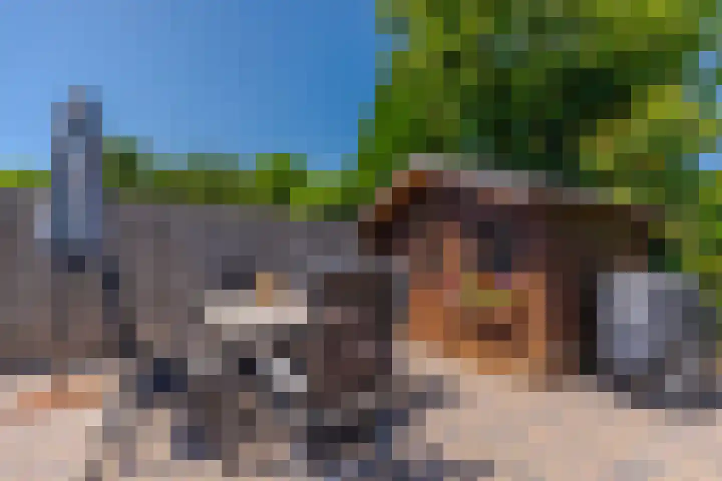 Goudreinet 34 Elst thumbnail 27
