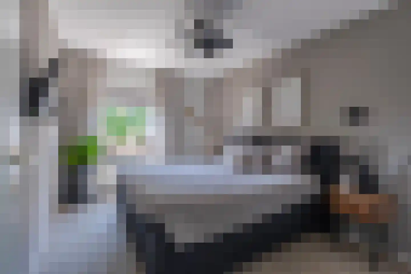 Goudreinet 34 Elst thumbnail 29
