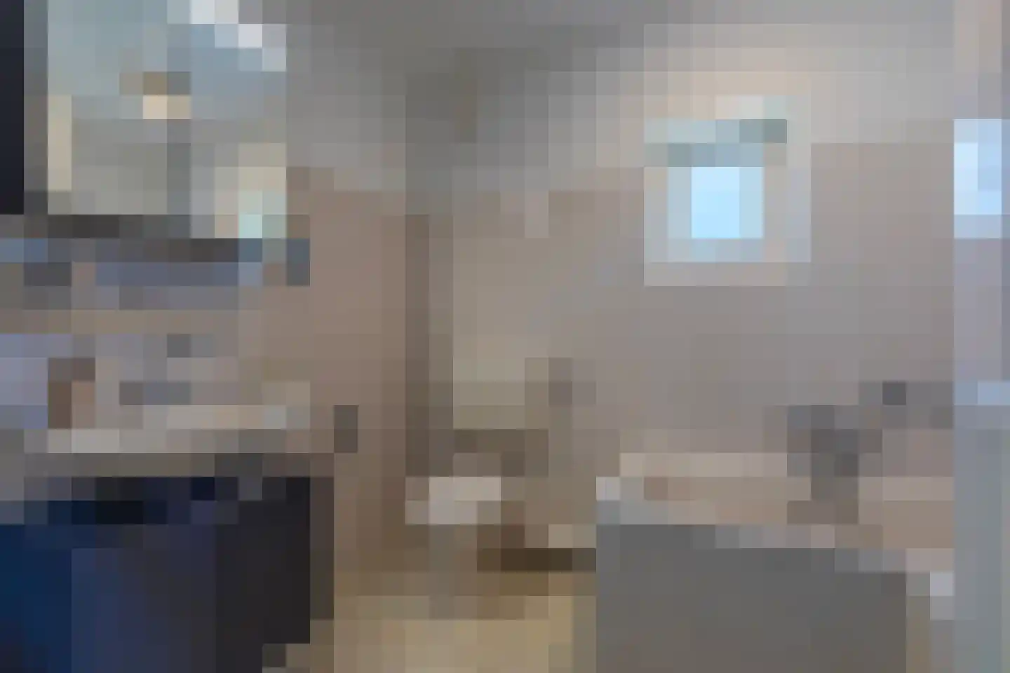 Goudreinet 34 Elst thumbnail 31