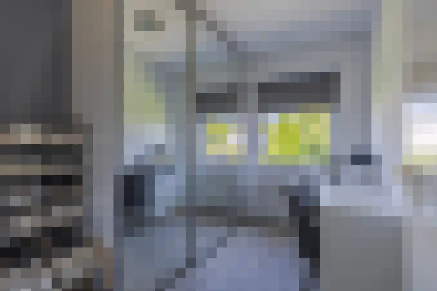 Goudreinet 34 Elst thumbnail 33