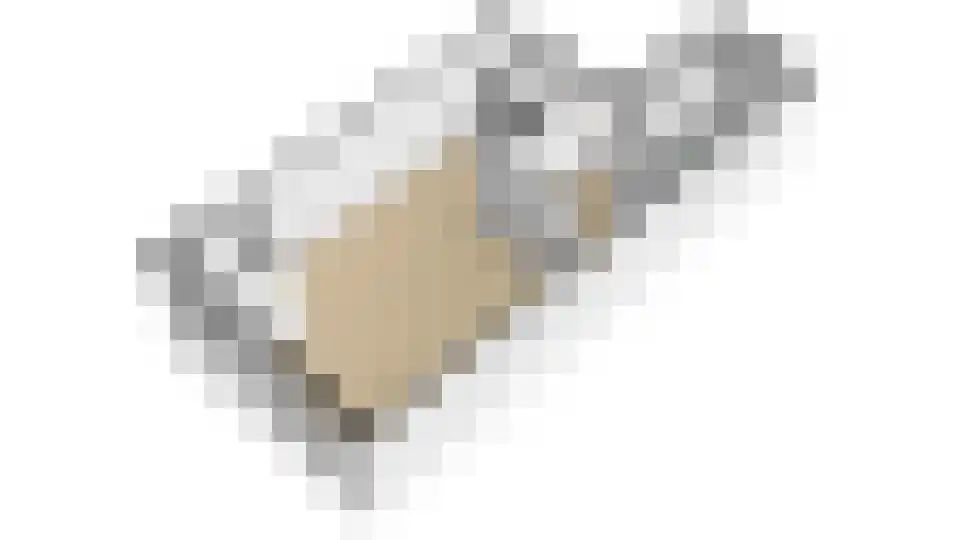 Goudreinet 34 Elst thumbnail 36