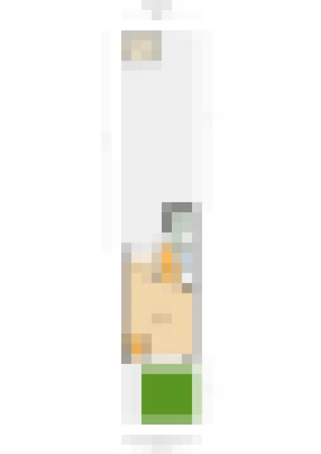 Goudreinet 34 Elst thumbnail 39