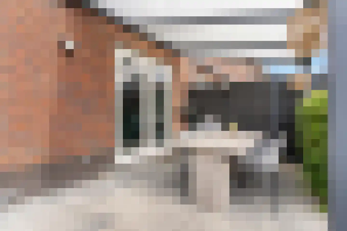 Goudreinet 46 Hardinxveld-Giessendam thumbnail 12