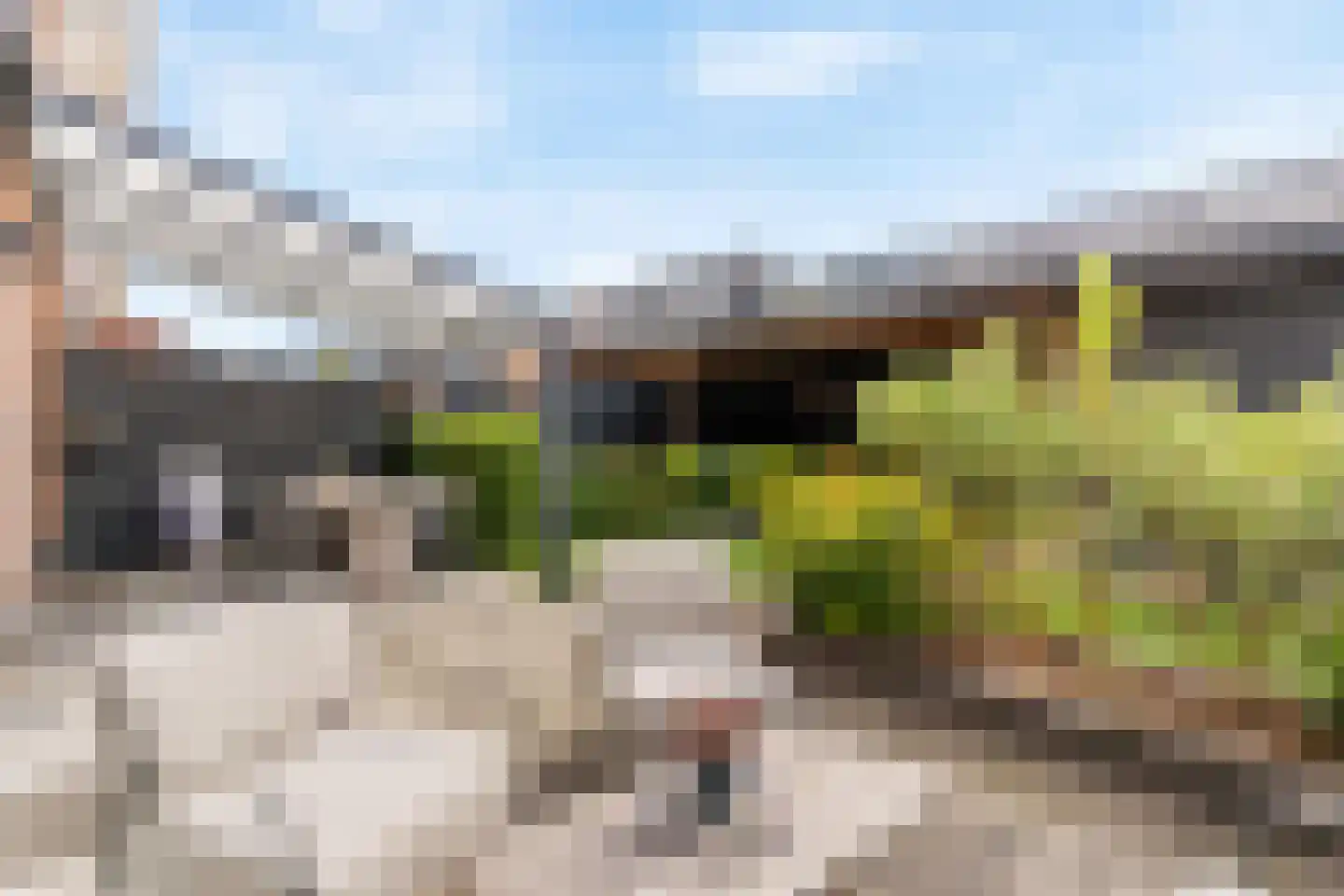 Goudreinet 46 Hardinxveld-Giessendam thumbnail 13