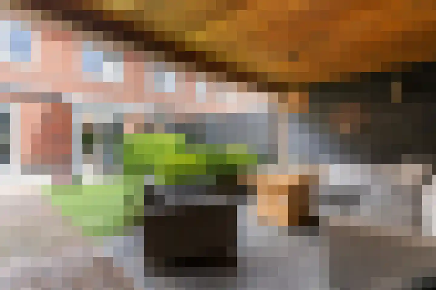 Goudreinet 46 Hardinxveld-Giessendam thumbnail 16
