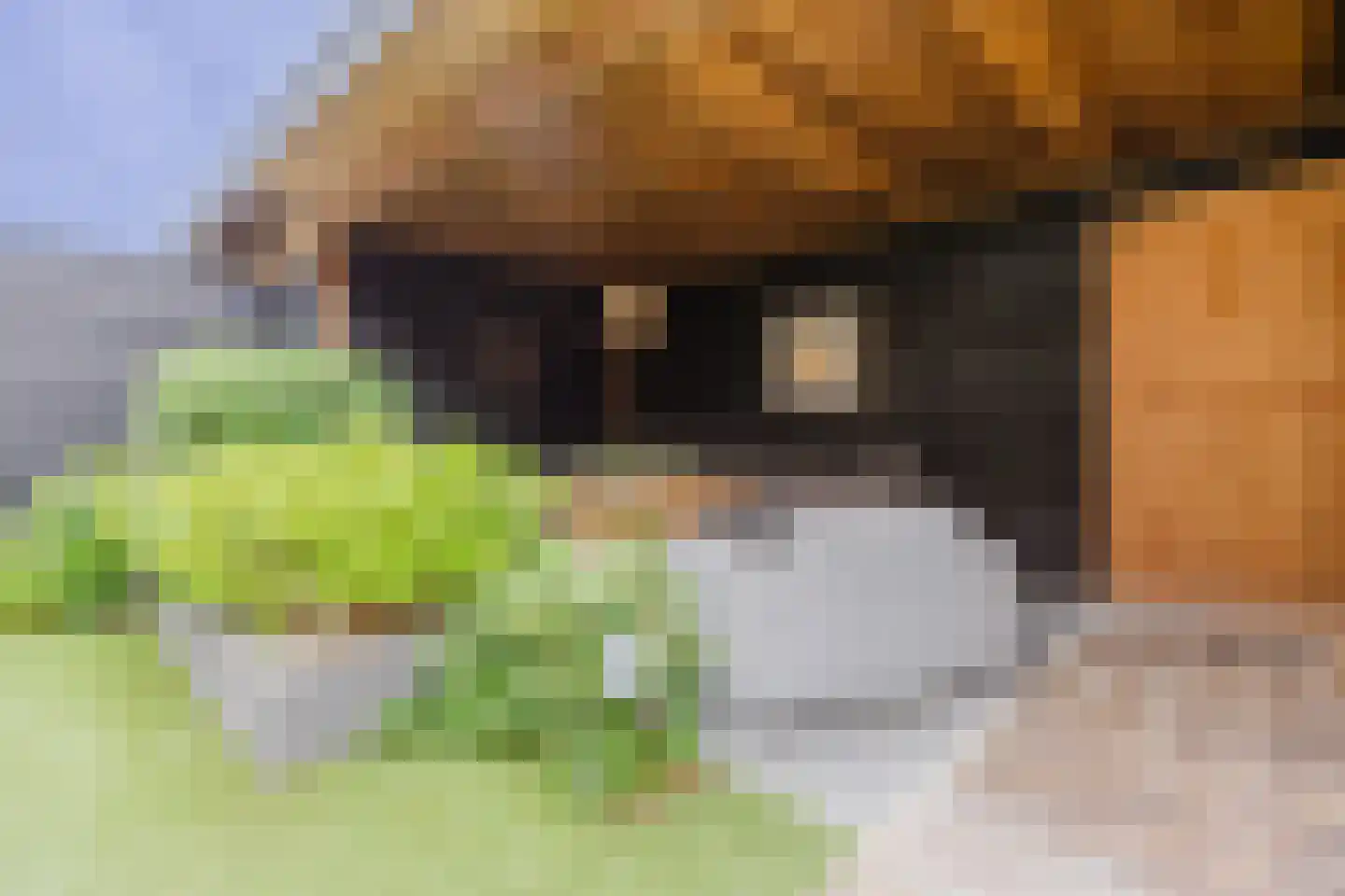Goudreinet 46 Hardinxveld-Giessendam thumbnail 19