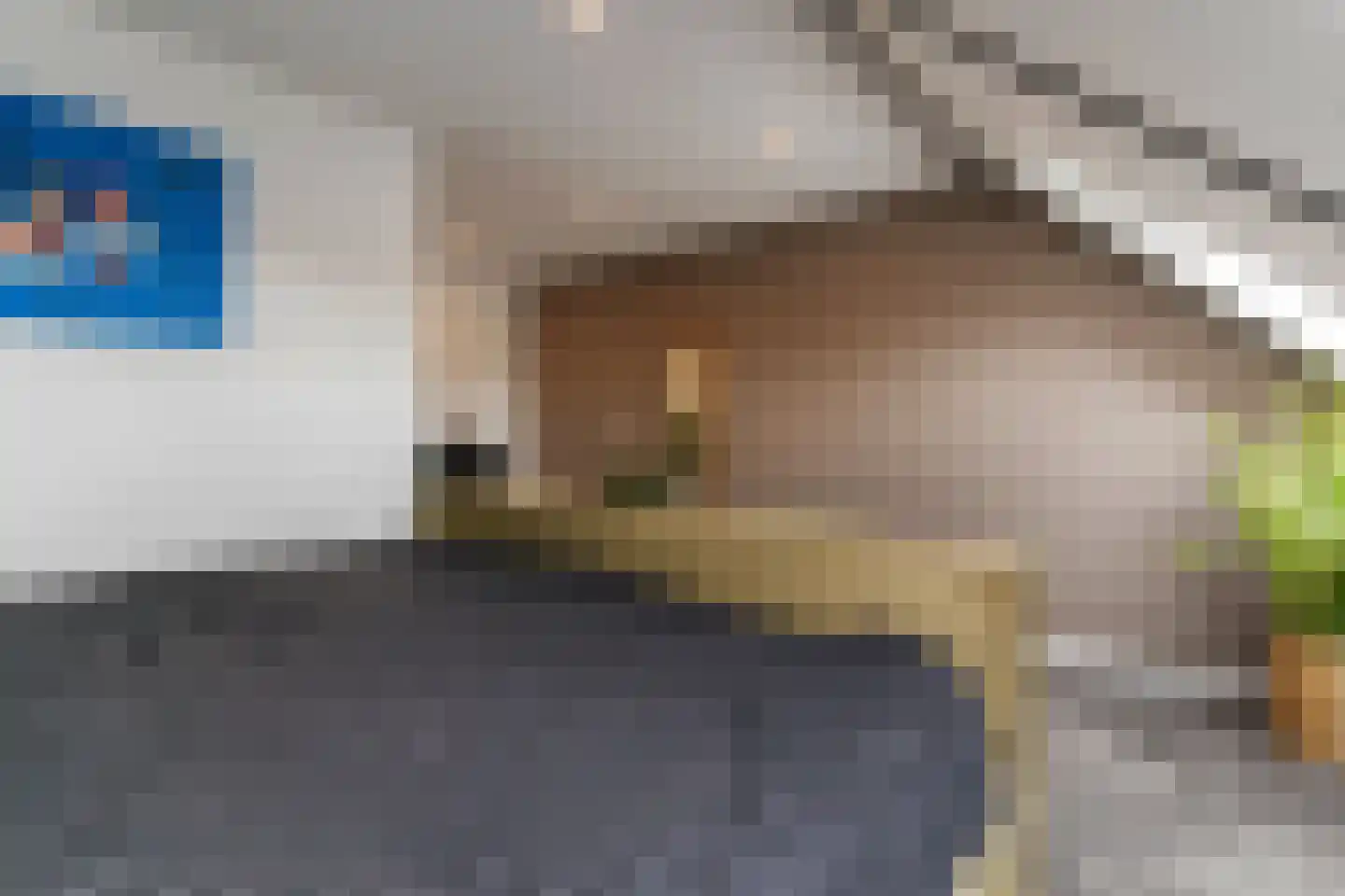 Goudreinet 46 Hardinxveld-Giessendam thumbnail 31