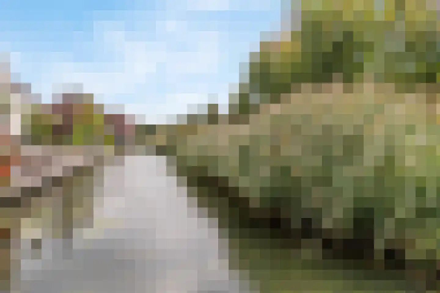 Goudreinet 46 Hardinxveld-Giessendam thumbnail 35