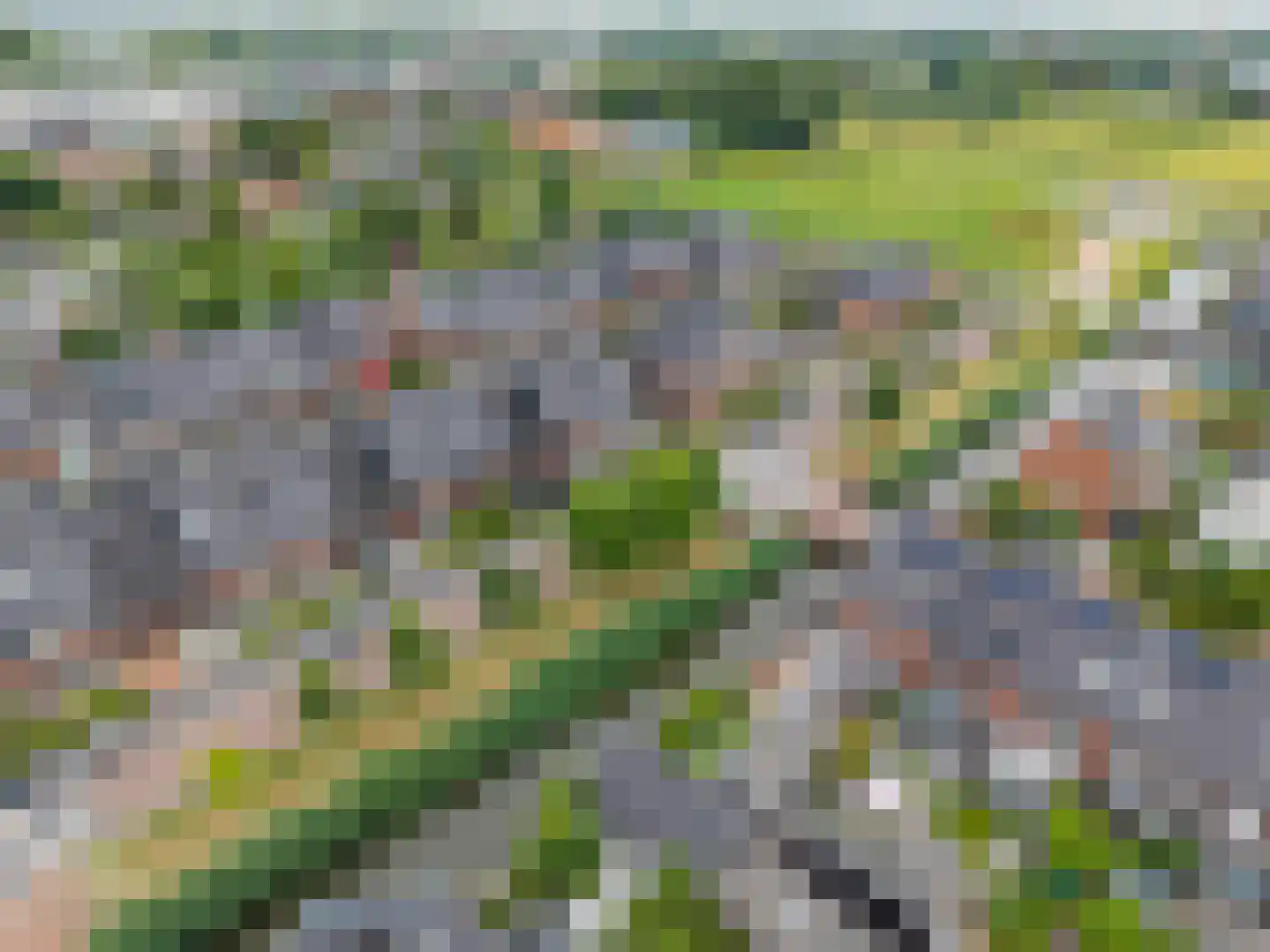 Goudreinet 46 Hardinxveld-Giessendam thumbnail 35