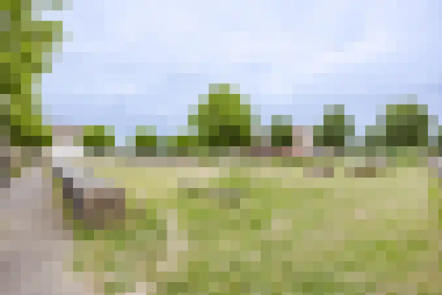 Goudreinet 46 Hardinxveld-Giessendam thumbnail 37
