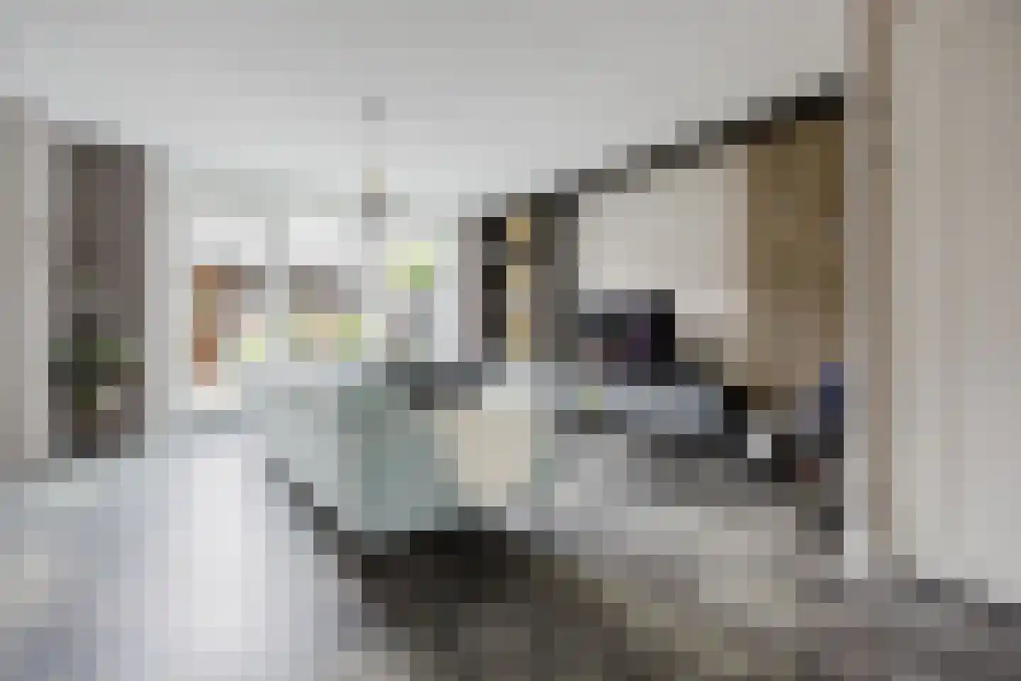 Goudreinet 46 Hardinxveld-Giessendam thumbnail 5