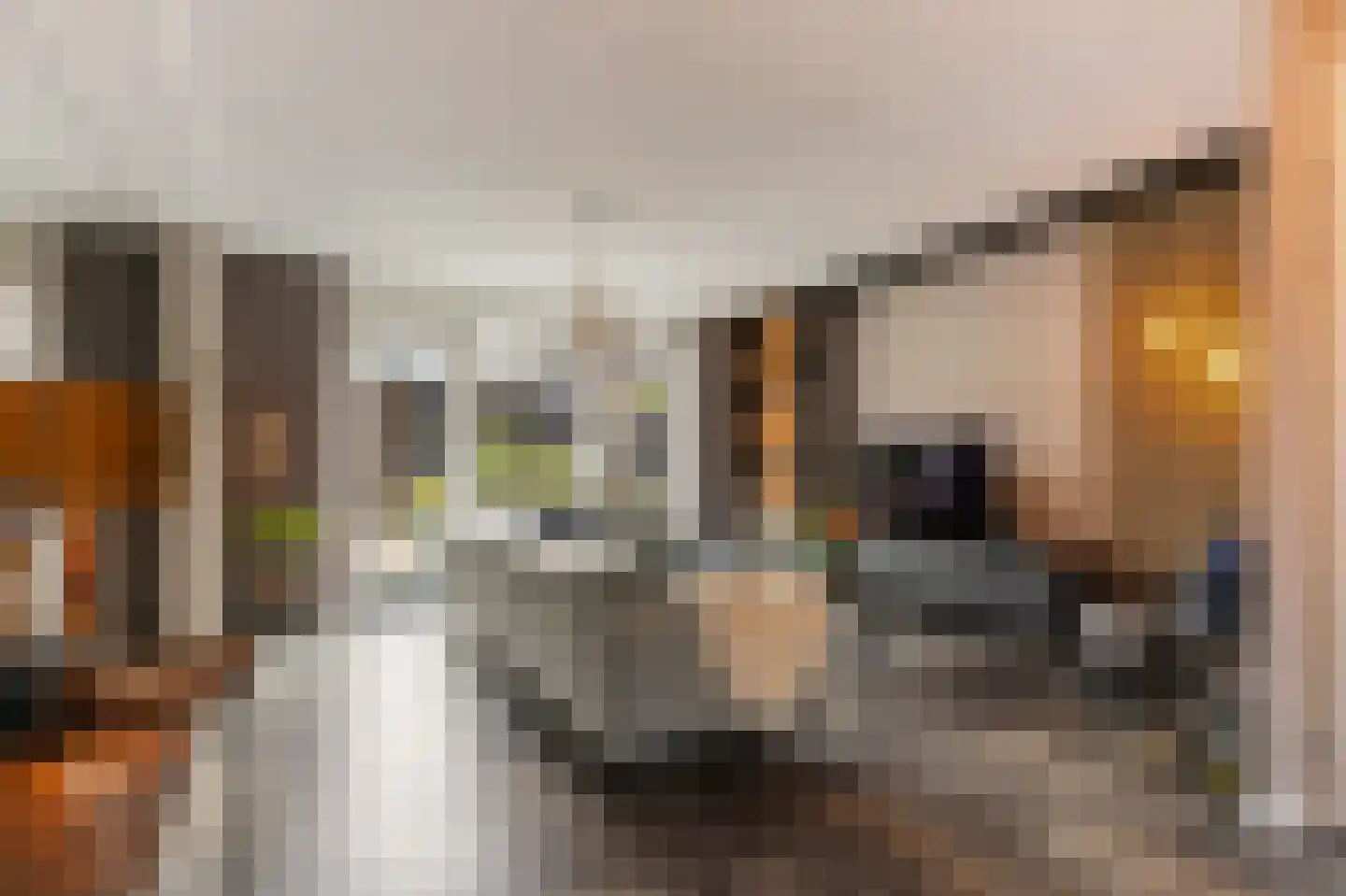 Goudreinet 46 Hardinxveld-Giessendam thumbnail 6