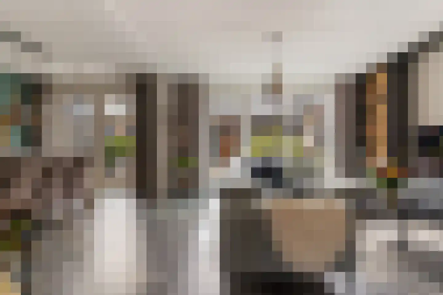 Goudreinet 46 Hardinxveld-Giessendam thumbnail 8