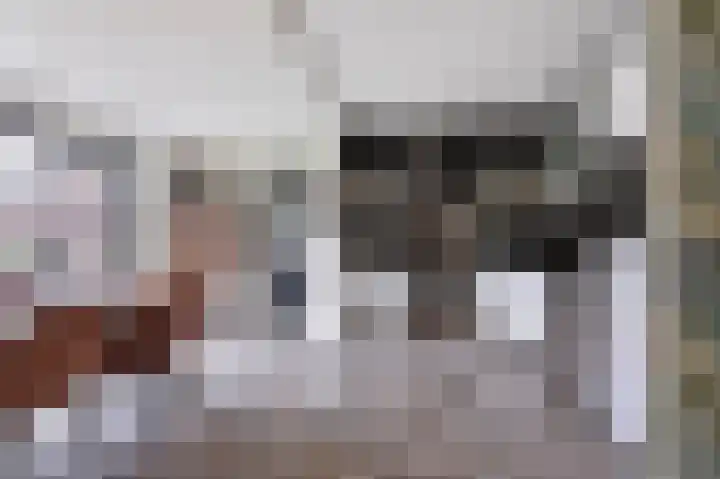 Goudreinet 5 Huissen thumbnail 10
