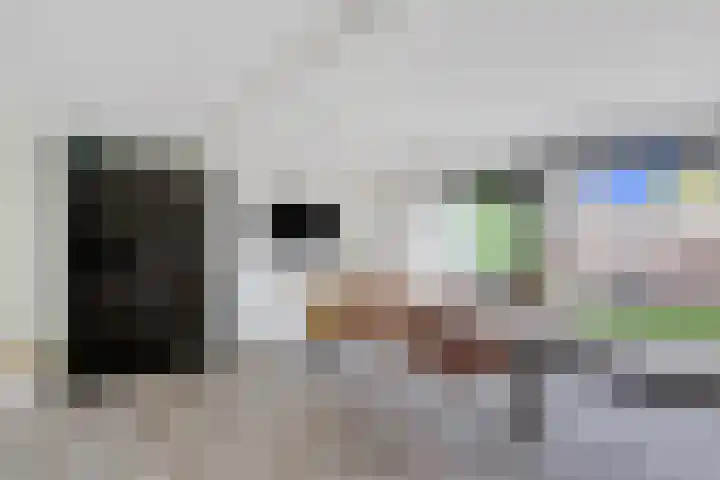 Goudreinet 5 Huissen thumbnail 12