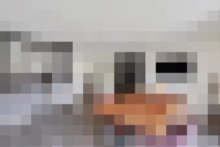 Goudreinet 5 Huissen thumbnail 13