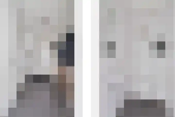 Goudreinet 5 Huissen thumbnail 14
