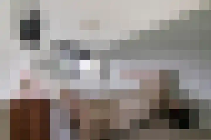 Goudreinet 5 Huissen thumbnail 15
