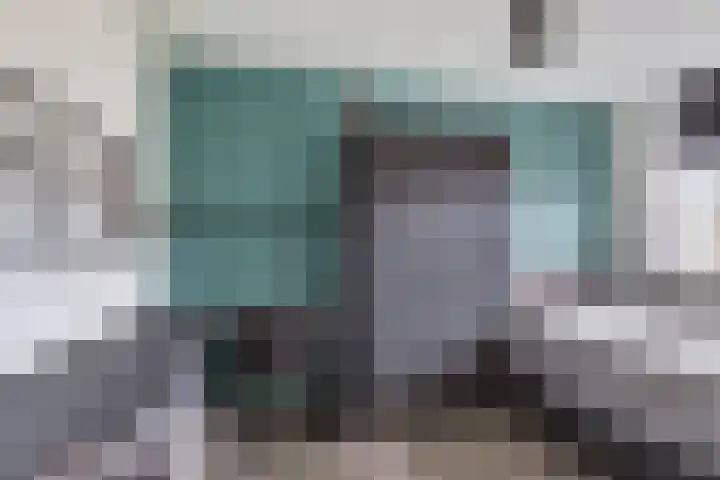 Goudreinet 5 Huissen thumbnail 17