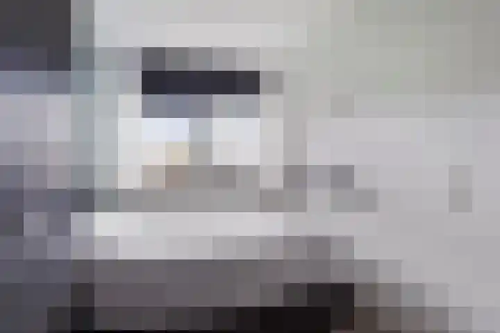 Goudreinet 5 Huissen thumbnail 18