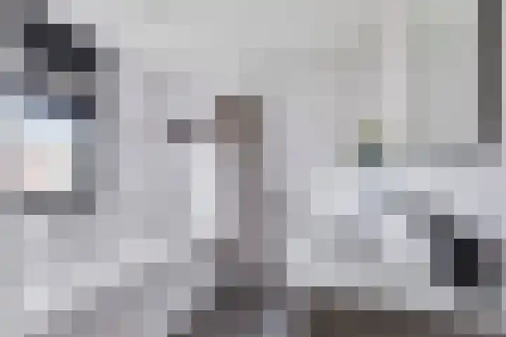 Goudreinet 5 Huissen thumbnail 19
