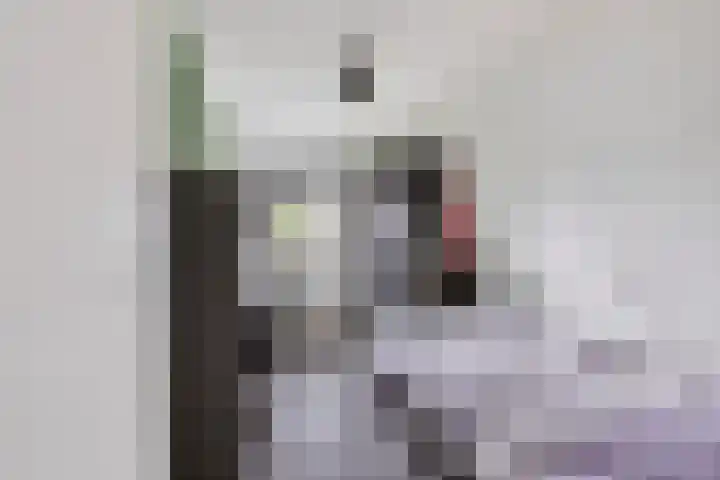 Goudreinet 5 Huissen thumbnail 22